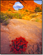 Tom Till Gallery