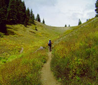 Burro Pass