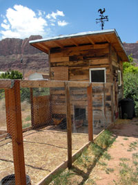 Outside picture of a chicken coup