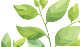 Green leaves frame template  Floral border  Vector illustration 