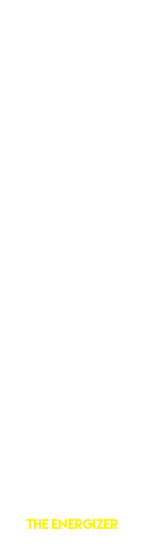 Cookies   2 00 chocolate chip white choc  macadamia sea salted chocolate chip with fudge filling peanut butter sugar    