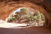 Navajo Arch - Laurie Schmidt