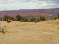 Upper Porcupine Singletrack