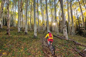 Moonlight Meadows Trail