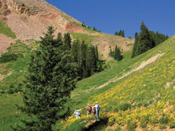 Burro Pass - Marc Thomas photo