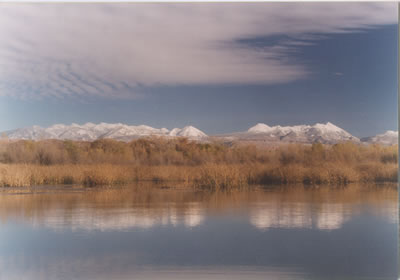 La Sal Mountains beyond the Matheson Wetlands