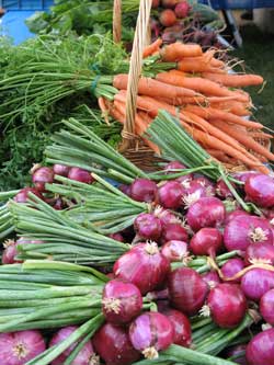 Farmer's Market, Moab